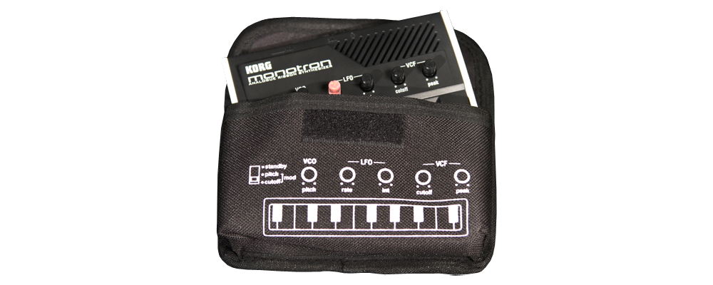 CASE FOR MONOTRON