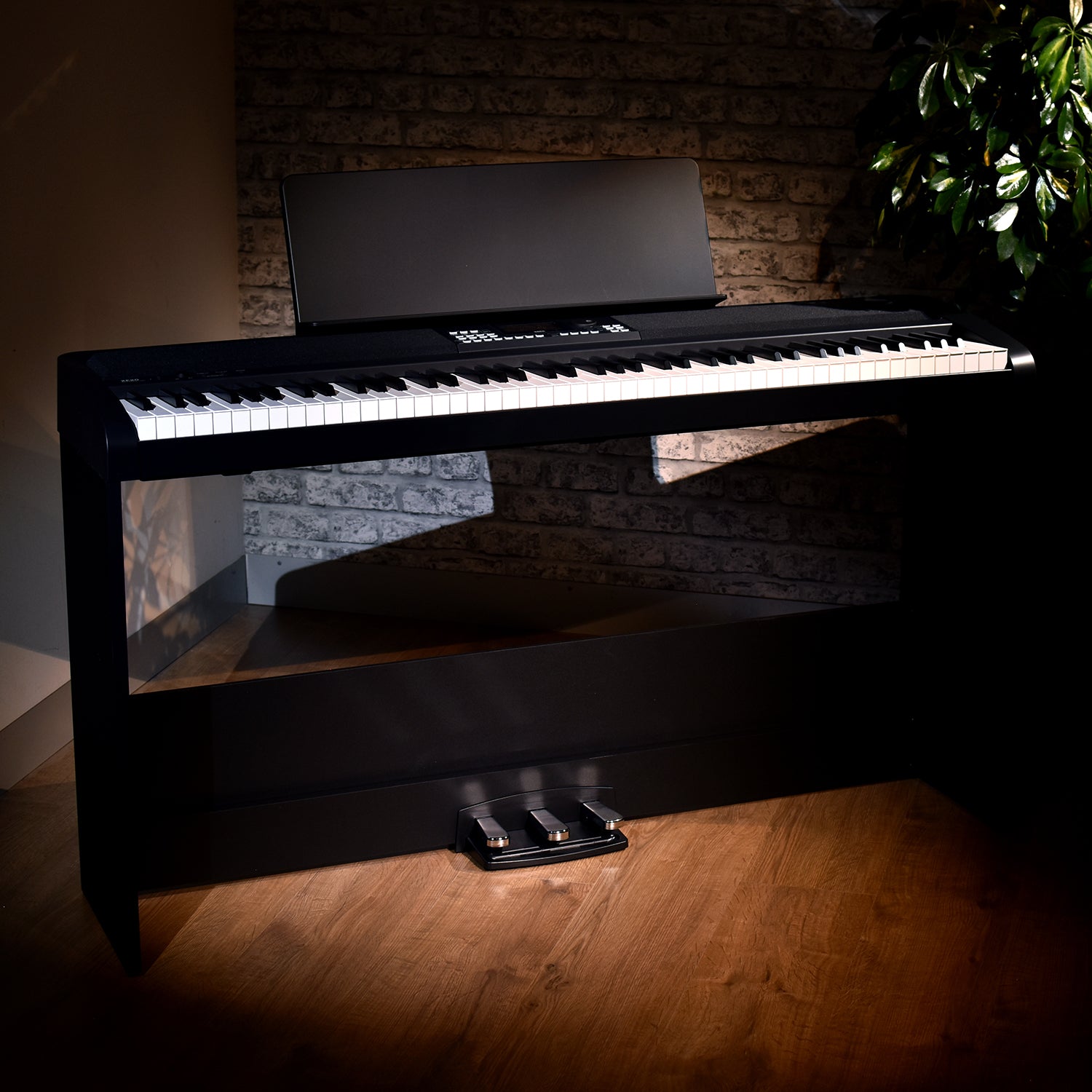 XE20SP KORG USA Official Store