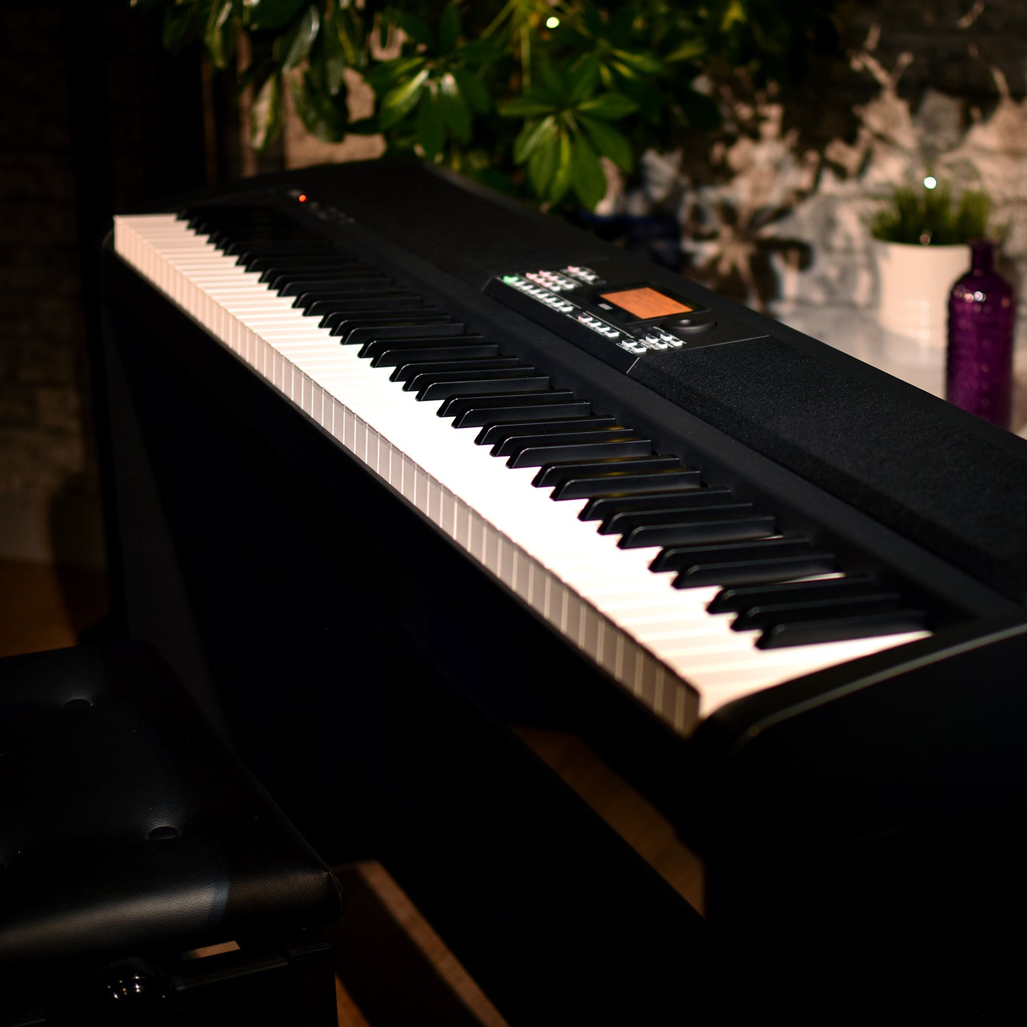 XE20SP KORG USA Official Store