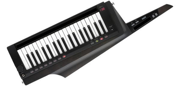 鍵盤楽器 KORG RK-100S 2 KEYTER cfa144363161dff5b142ef2dc257cb